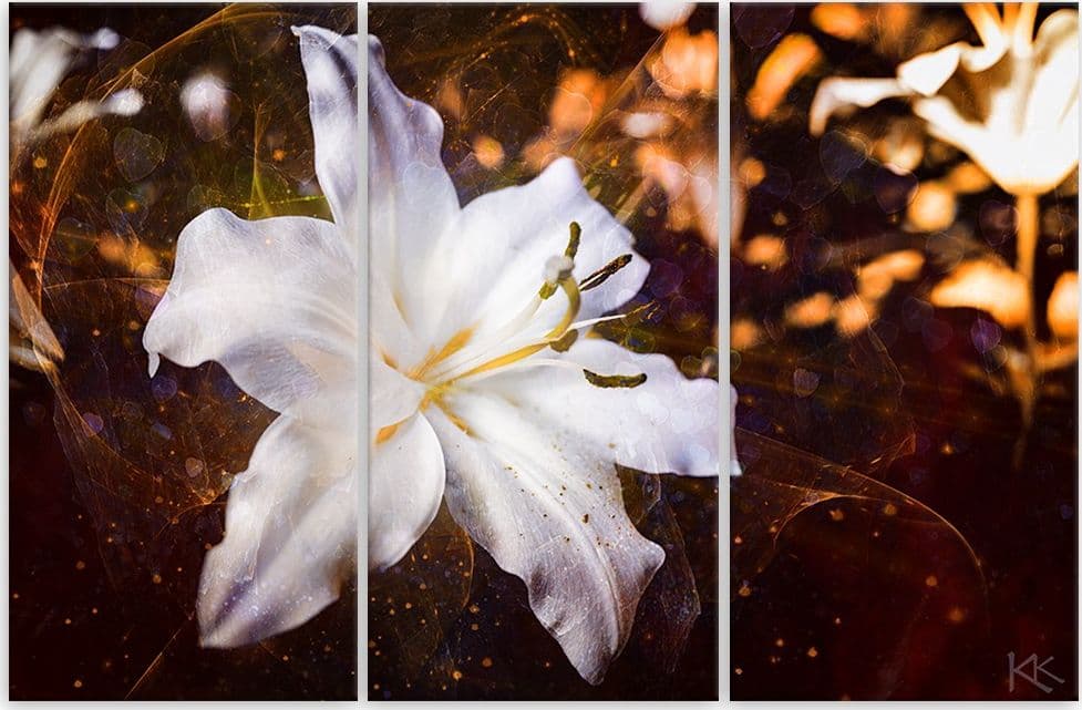 Quadro su tela 3 pannelli, Lily bianco su uno sfondo marrone in Poster e stampe Collezione Casa - Trebisacce, commercioVirtuoso.it