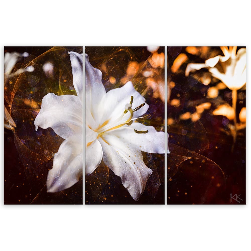 Quadro su tela 3 pannelli, Lily bianco su uno sfondo marrone in Poster e stampe Collezione Casa - Trebisacce, commercioVirtuoso.it