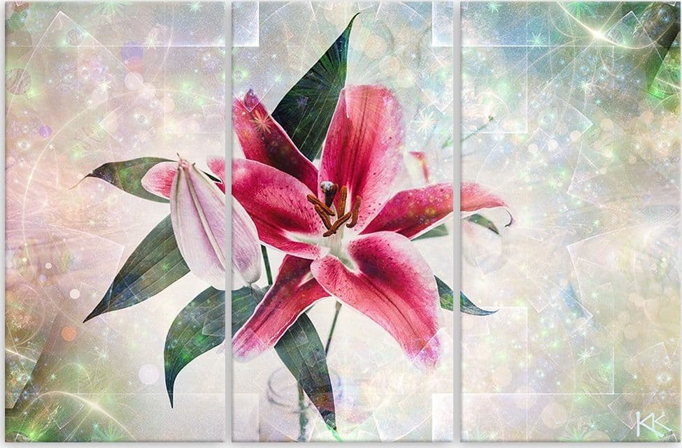Quadro su tela 3 pannelli, Lily rosa in Poster e stampe Collezione Casa - Trebisacce, commercioVirtuoso.it