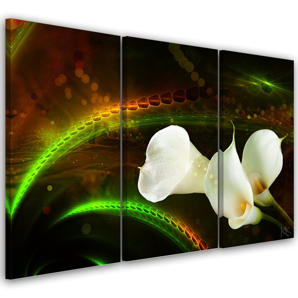 Quadro su tela 3 pannelli, Fiore bianco sullo sfondo marrone in Poster e stampe Collezione Casa - Trebisacce, commercioVirtuoso.it