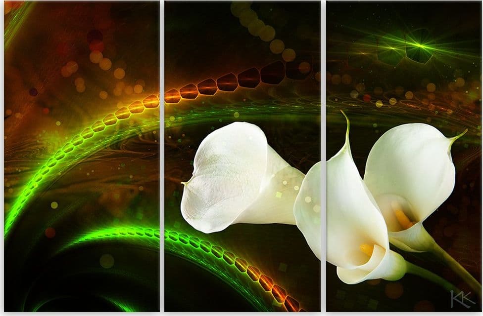 Quadro su tela 3 pannelli, Fiore bianco sullo sfondo marrone in Poster e stampe Collezione Casa - Trebisacce, commercioVirtuoso.it