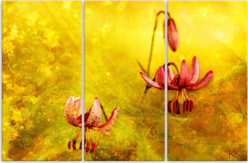Quadro su tela 3 pannelli, Fiori tuli appassiti in Poster e stampe Collezione Casa - Trebisacce, commercioVirtuoso.it