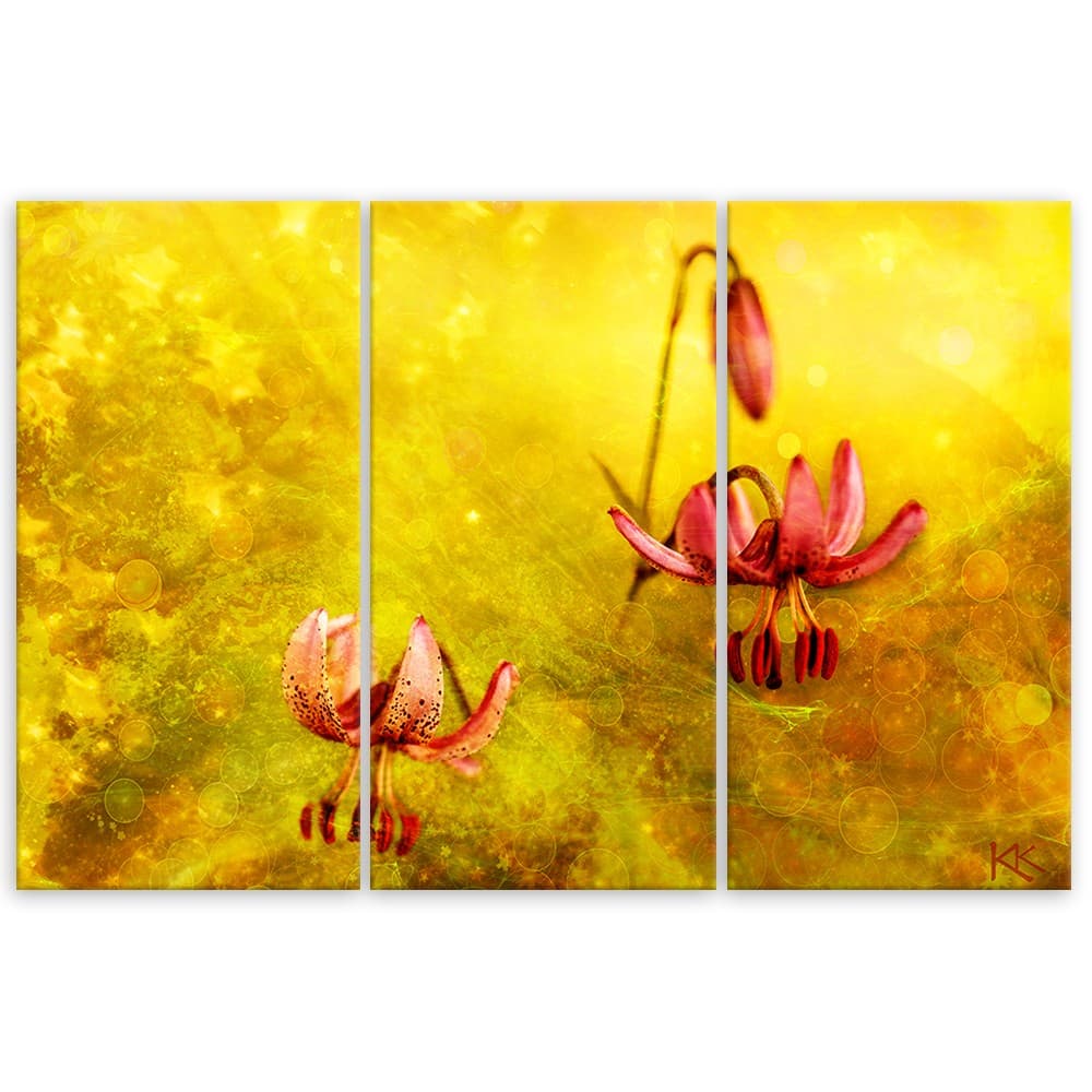 Quadro su tela 3 pannelli, Fiori tuli appassiti in Poster e stampe Collezione Casa - Trebisacce, commercioVirtuoso.it
