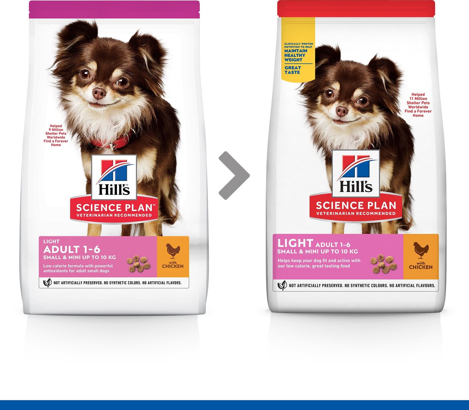 Hill's Light secco Cani Adulti Mini pollo 1,5 kg in Secco 101 Market - Poggibonsi, commercioVirtuoso.it