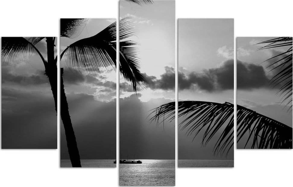 Quadri Quadro 5 pezzi Stampa su tela Palma di mare in bianco e nero in Poster e stampe Collezione Casa - Trebisacce, commercioVirtuoso.it