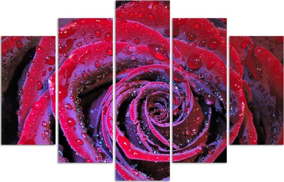 Quadro su tela 5 pannelli Fiore di rosa rosso in Poster e stampe Collezione Casa - Trebisacce, commercioVirtuoso.it
