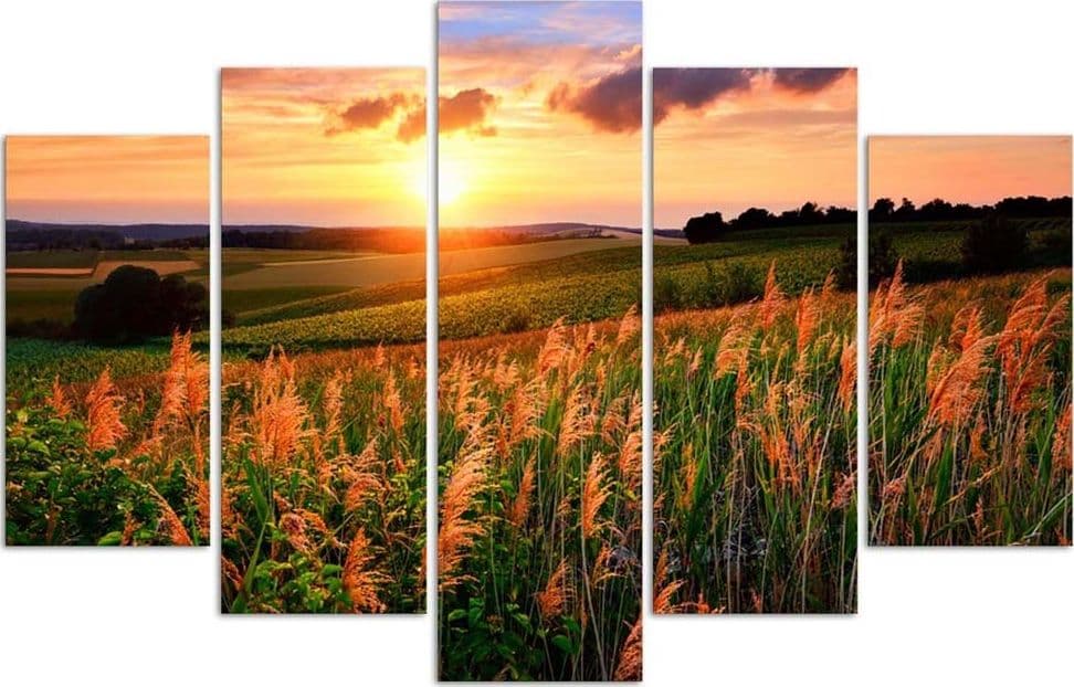 Quadri Quadro 5 pezzi Stampa su tela Prato fiorito al tramonto in Poster e stampe Collezione Casa - Trebisacce, commercioVirtuoso.it