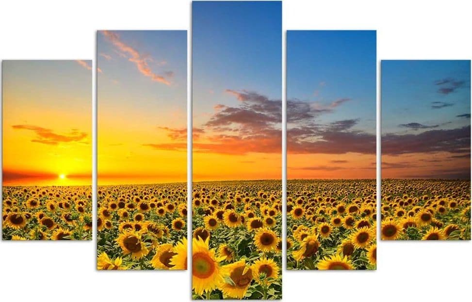 Quadri Quadro 5 pezzi Stampa su tela Girasoli al tramonto in Poster e stampe Collezione Casa - Trebisacce, commercioVirtuoso.it