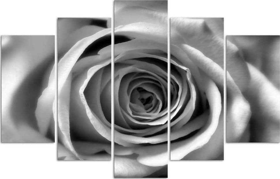 Quadro su tela 5 pannelli Fiori di rosa in bianco e nero in Poster e stampe Collezione Casa - Trebisacce, commercioVirtuoso.it