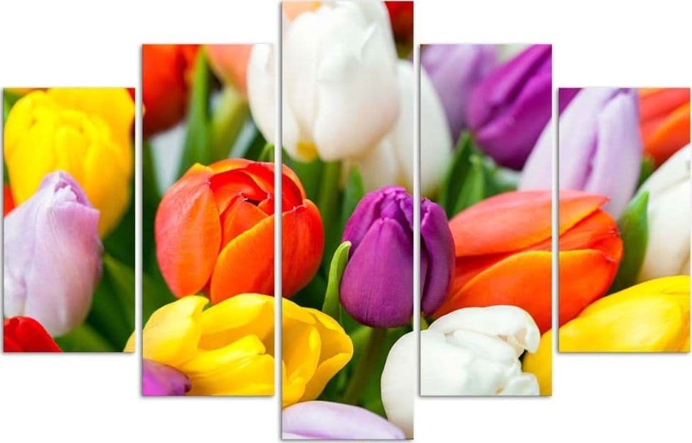 Quadri Quadro 5 pezzi Stampa su tela Fiori di tulipani colorati in Poster e stampe Collezione Casa - Trebisacce, commercioVirtuoso.it