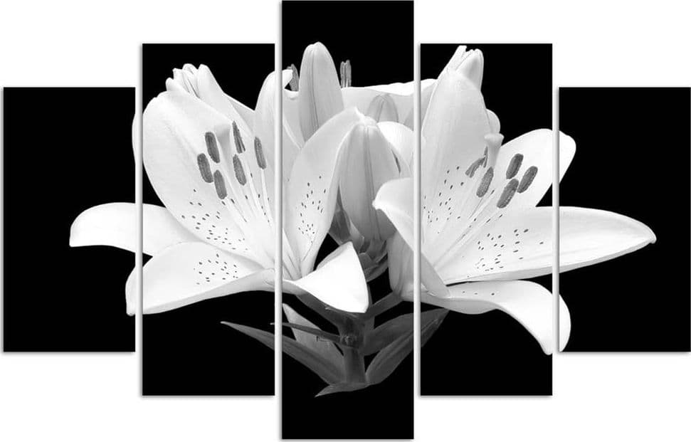 Quadro su tela 5 pannelli Gigli bianchi Fiori Natura in Poster e stampe Collezione Casa - Trebisacce, commercioVirtuoso.it