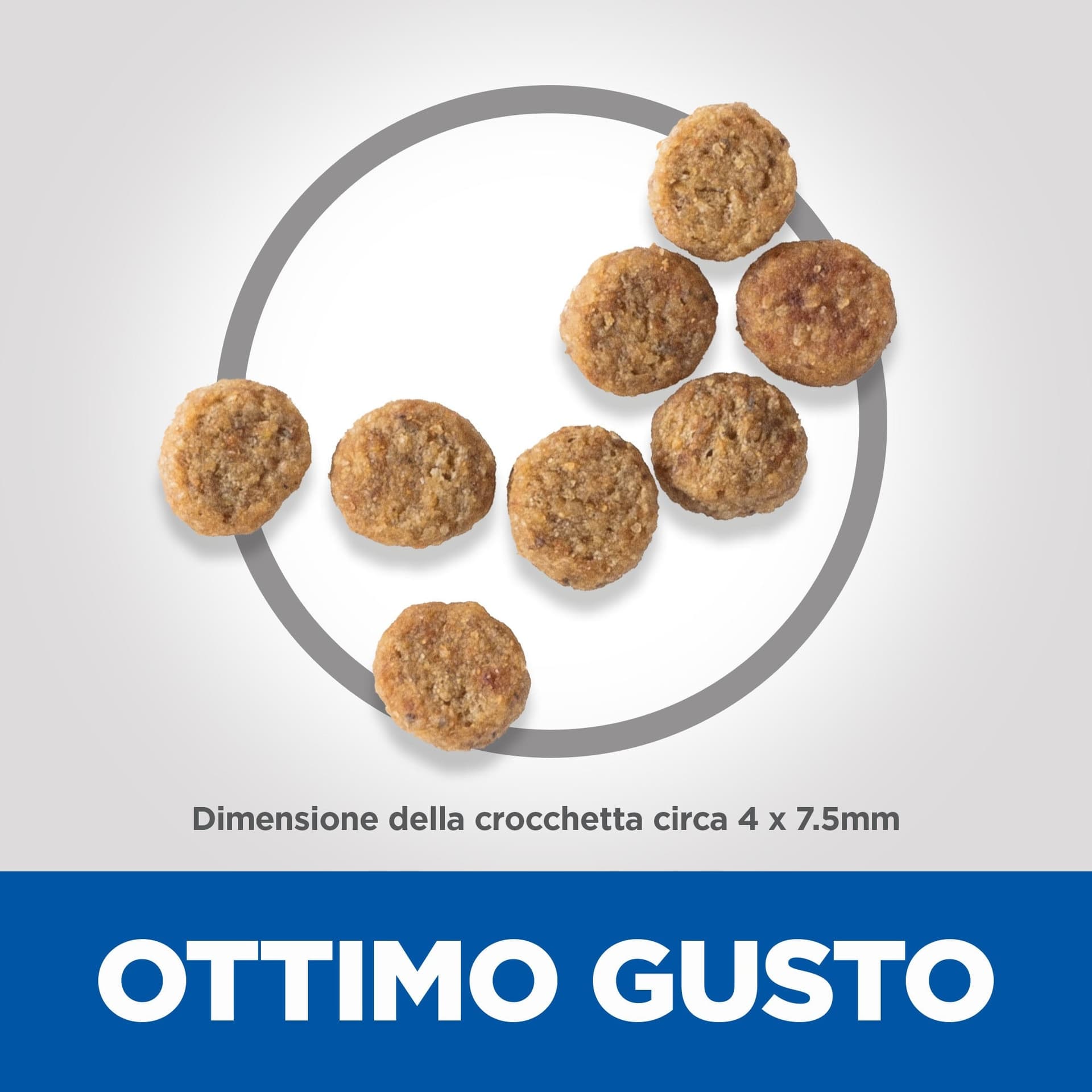 Hill's Light secco Cani Adulti Mini pollo 1,5 kg in Secco 101 Market - Poggibonsi, commercioVirtuoso.it
