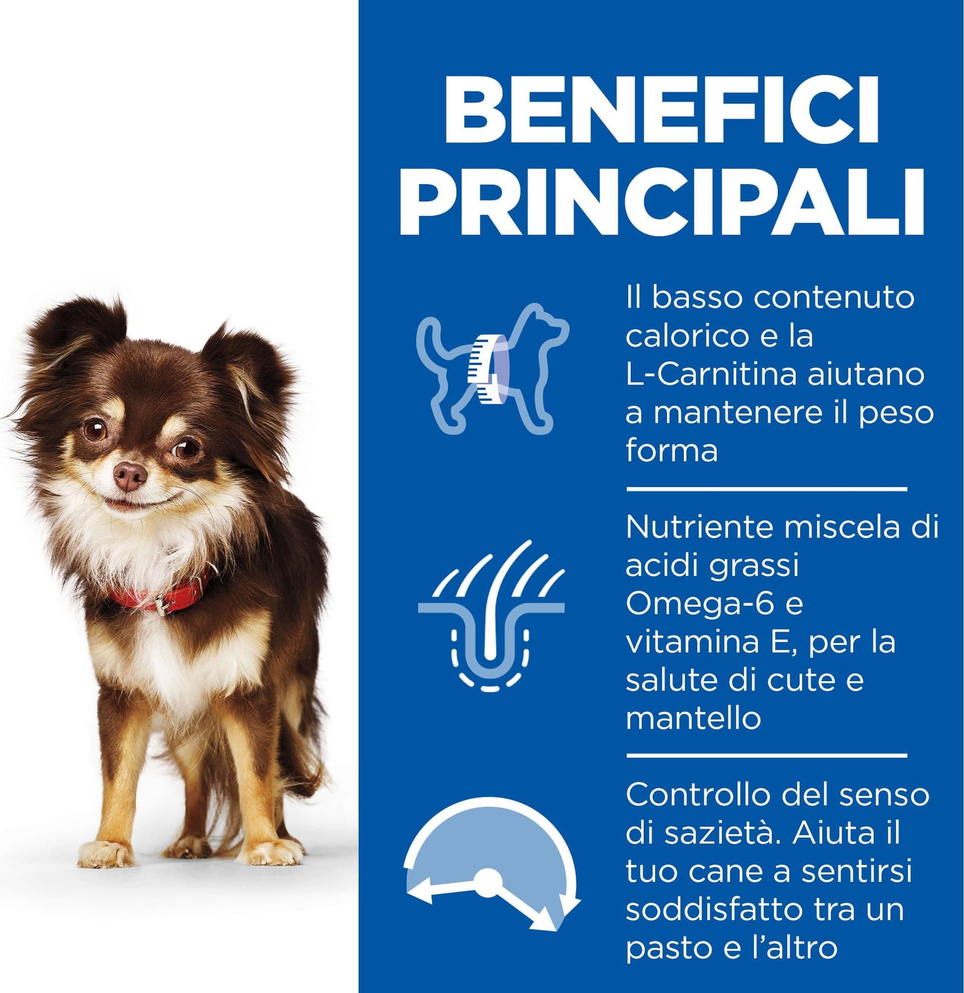 Hill's Light secco Cani Adulti Mini pollo 1,5 kg in Secco 101 Market - Poggibonsi, commercioVirtuoso.it