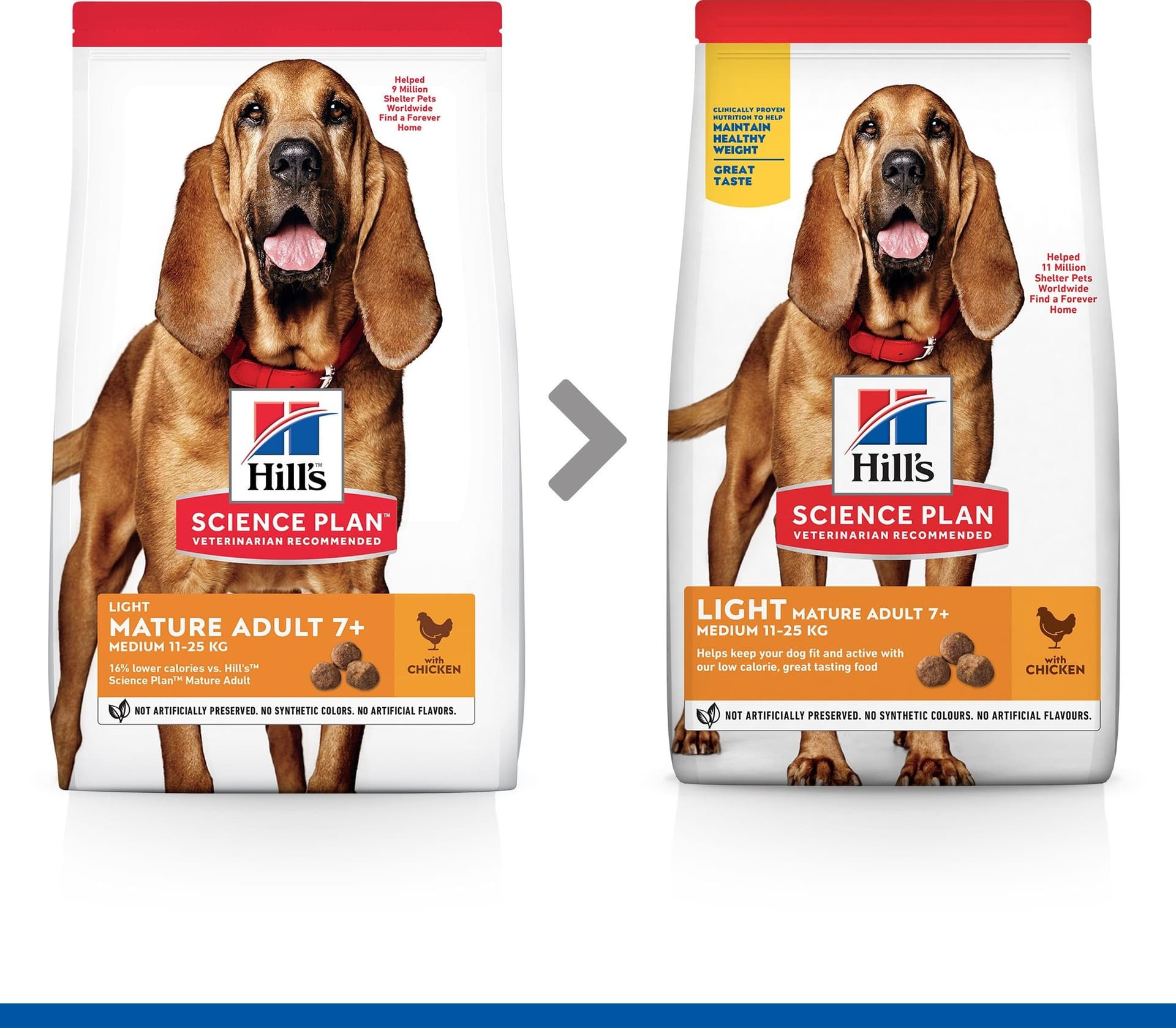 Hill's Light secco Cani Mature Medium pollo 12 kg in Secco 101 Market - Poggibonsi, commercioVirtuoso.it