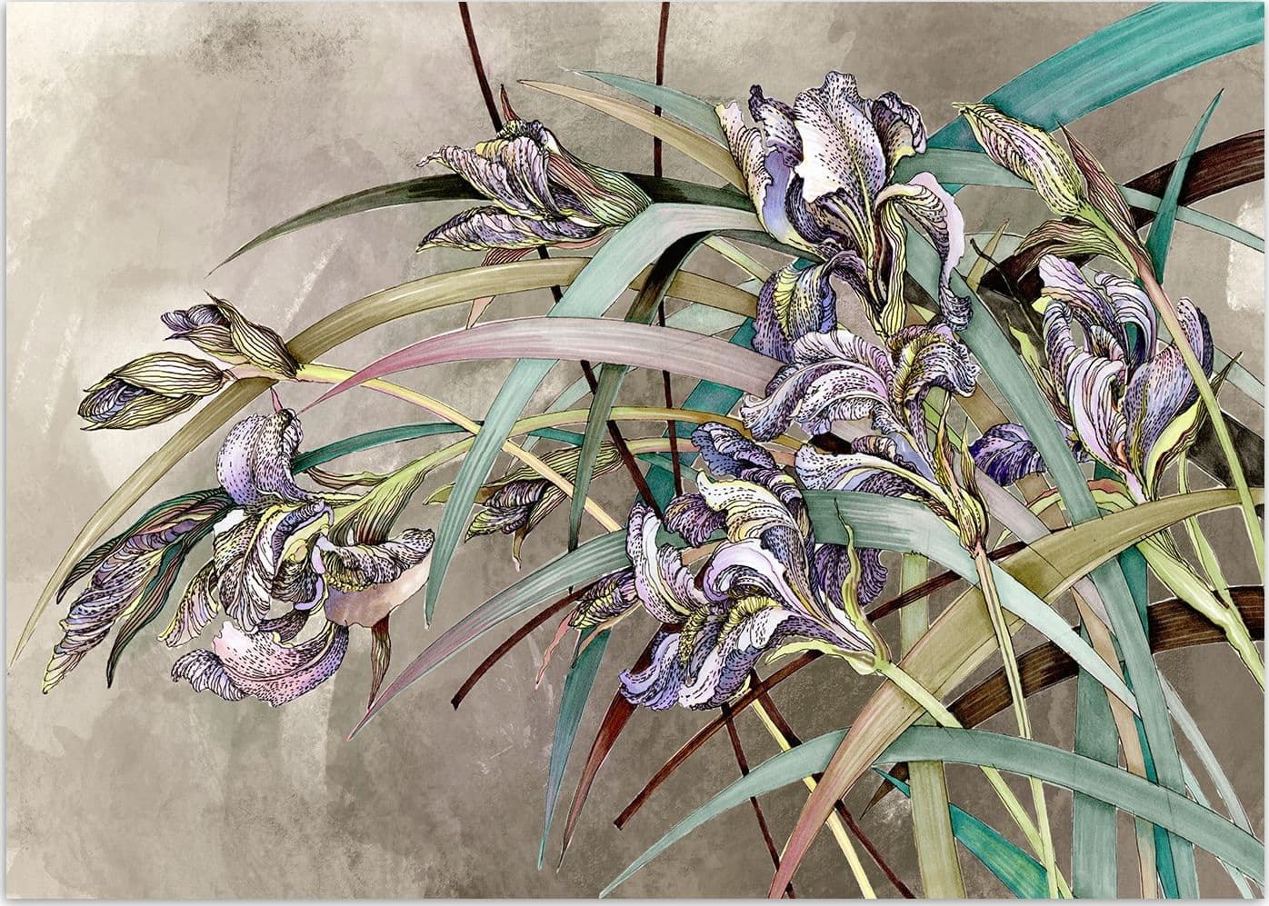 Carta Da Parati, Fiori di Iris Struttura in cemento in Carta da parati Collezione Casa - Trebisacce, commercioVirtuoso.it