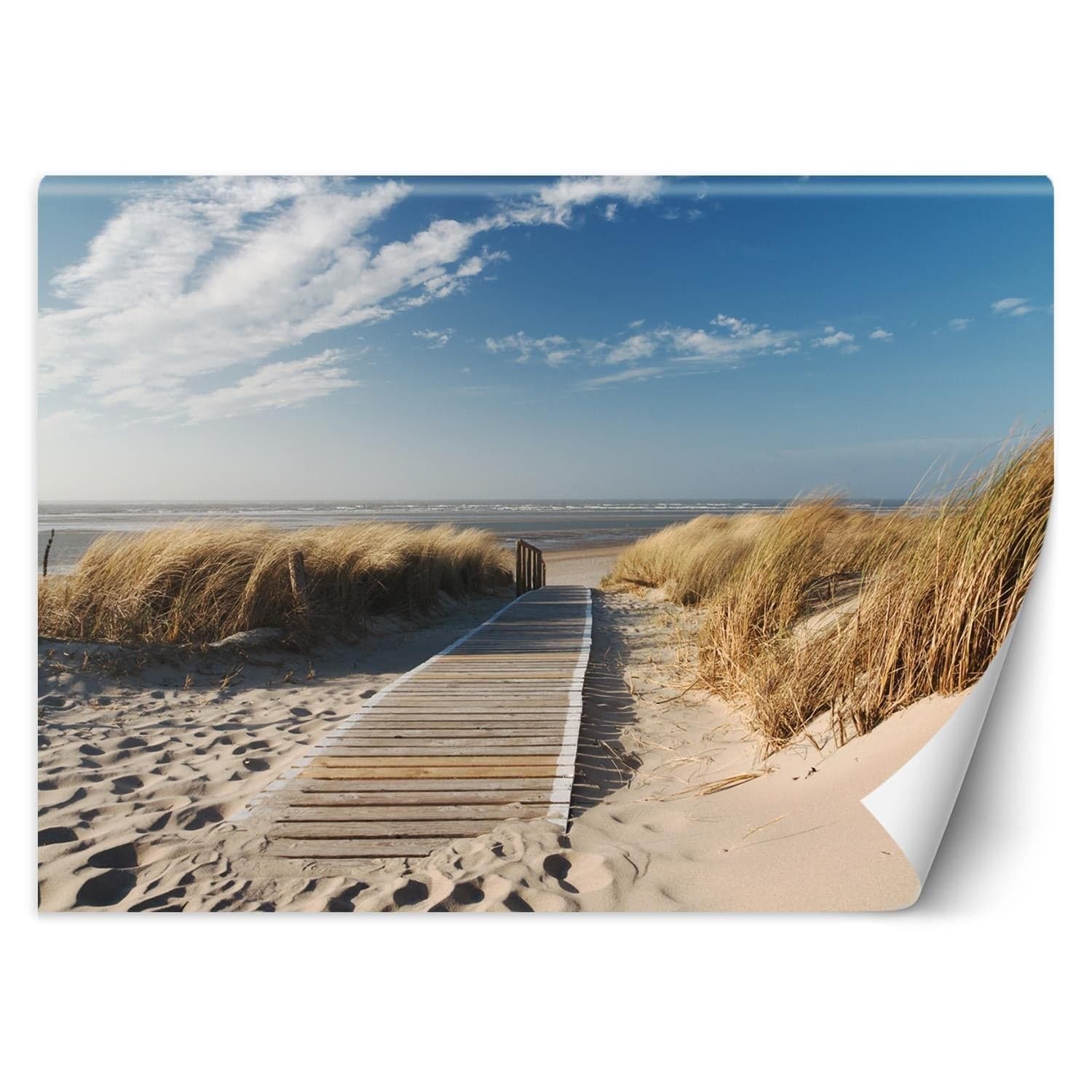 Carta Da Parati, Mare Spiaggia Paesaggio in Carta da parati Collezione Casa - Trebisacce, commercioVirtuoso.it