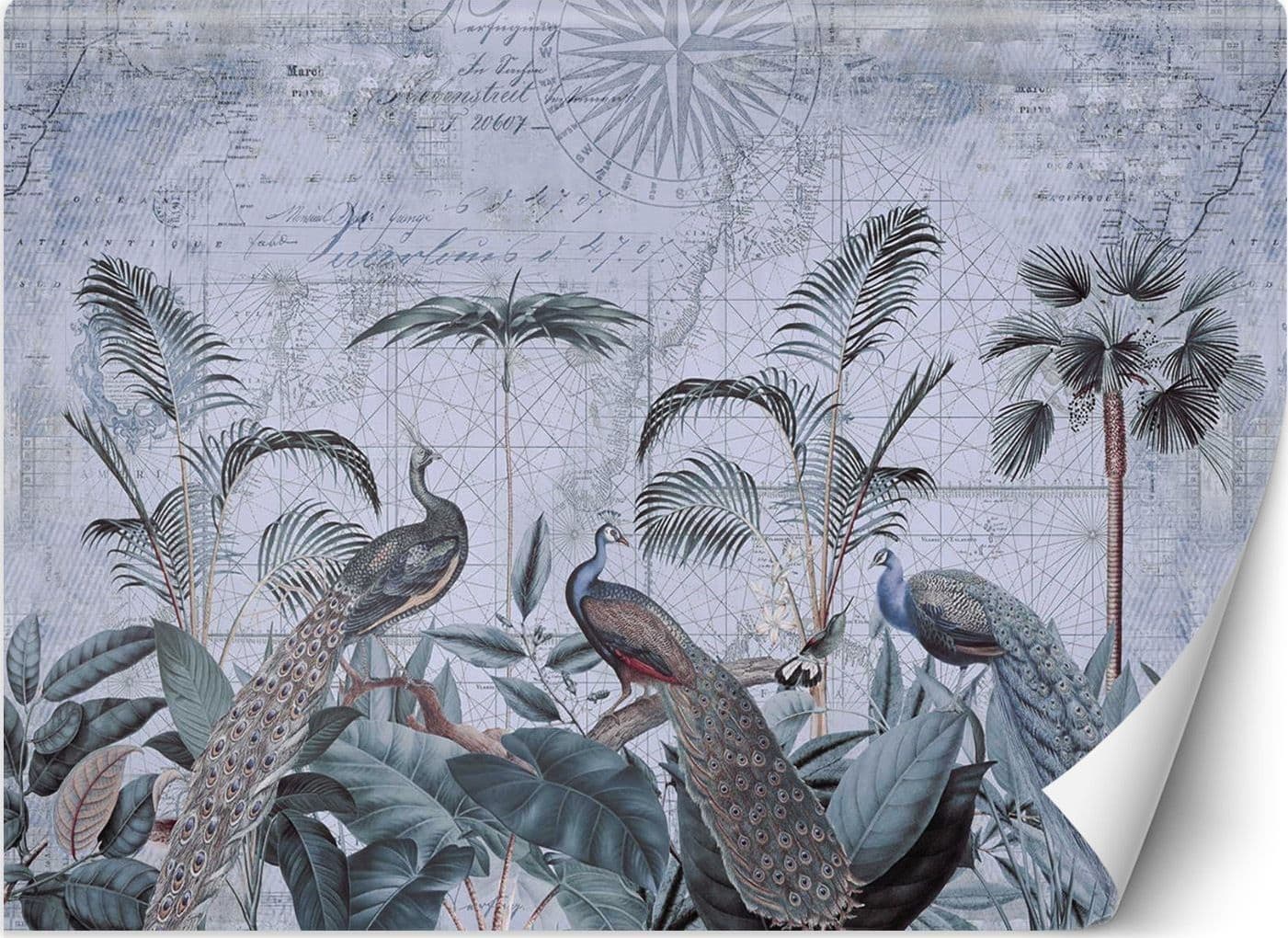 Carta Da Parati, Pavoni ai tropici
