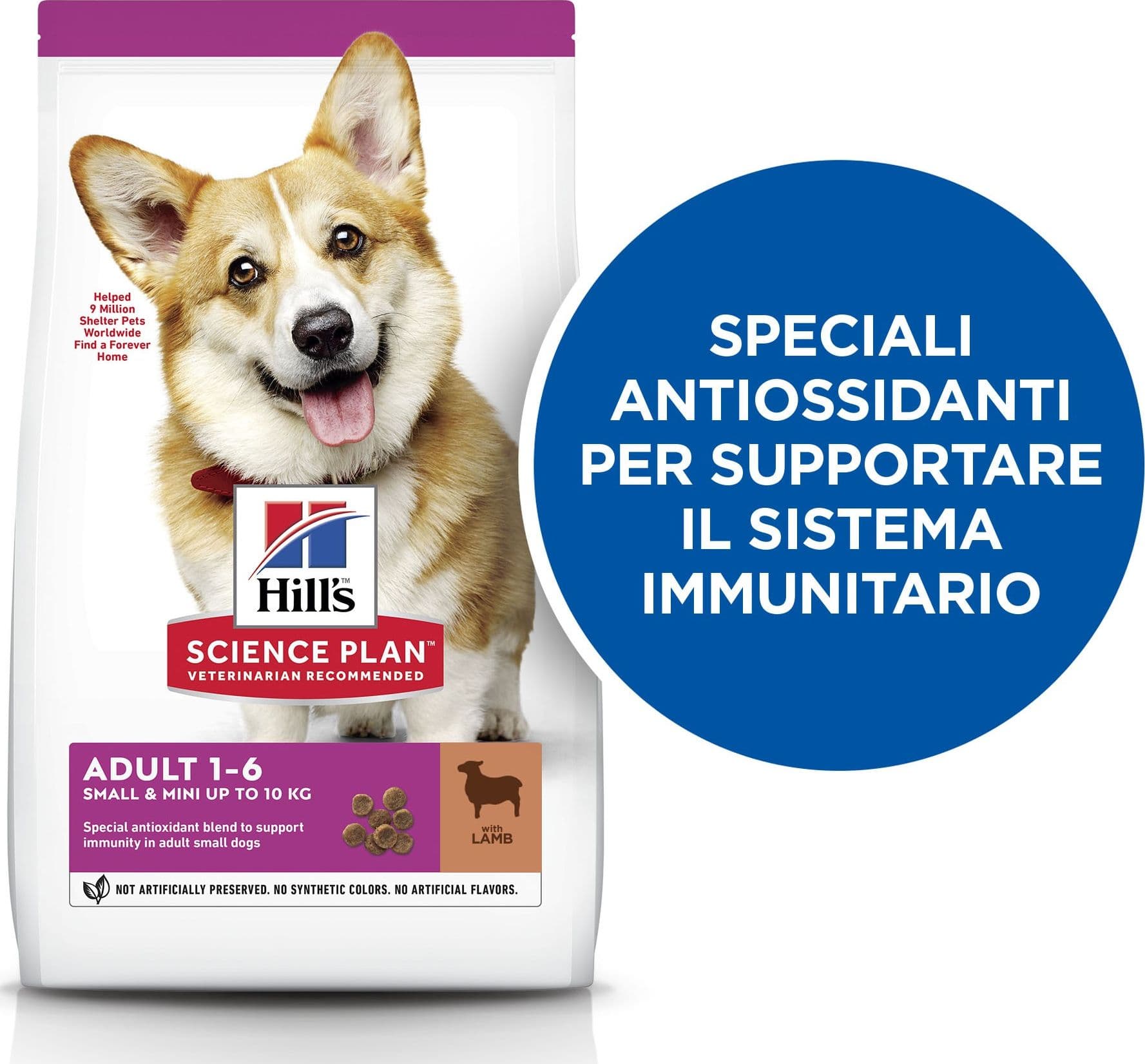 Hill's Mantenimento secco Cani Adulti Mini agnello e riso 1,5 kg in Secco 101 Market - Poggibonsi, commercioVirtuoso.it