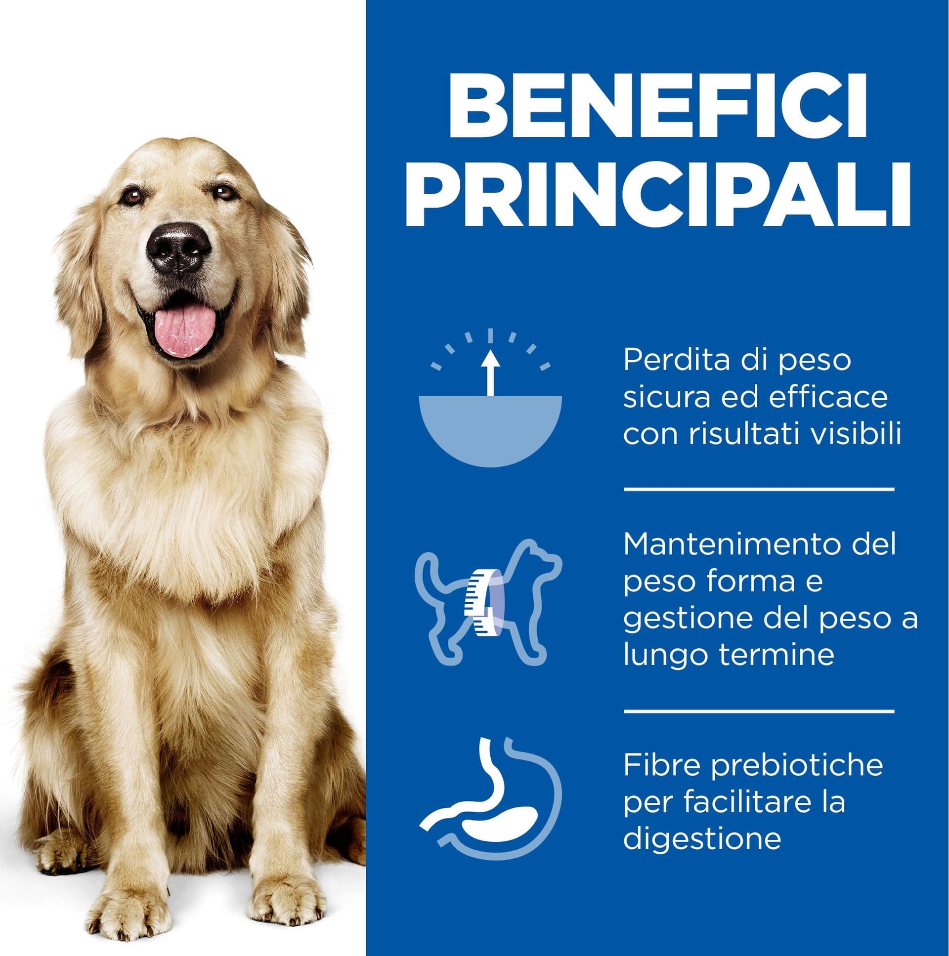 Hill's Perfect Weight secco Cani Adulti Large pollo 12 kg in Secco 101 Market - Poggibonsi, commercioVirtuoso.it