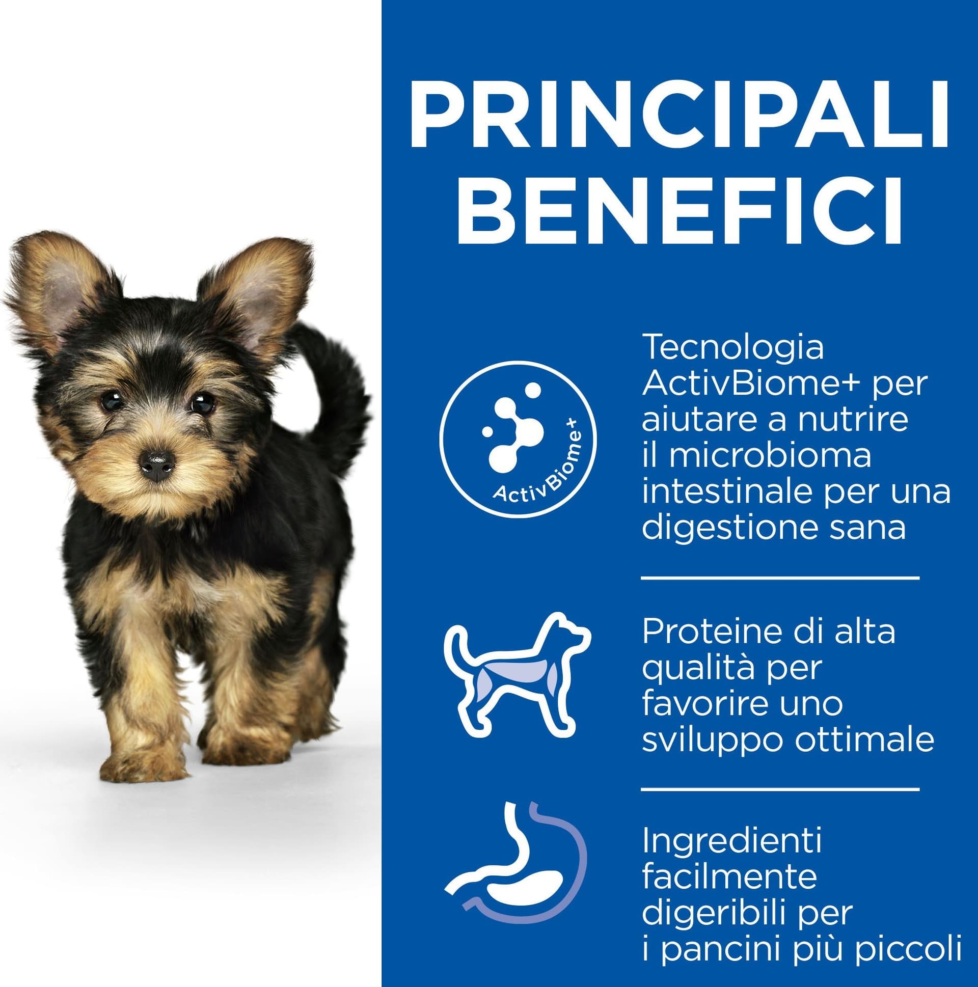 Hill's Perfect Digestion secco Cani Puppy Mini pollo 1,5 kg in Secco 101 Market - Poggibonsi, commercioVirtuoso.it