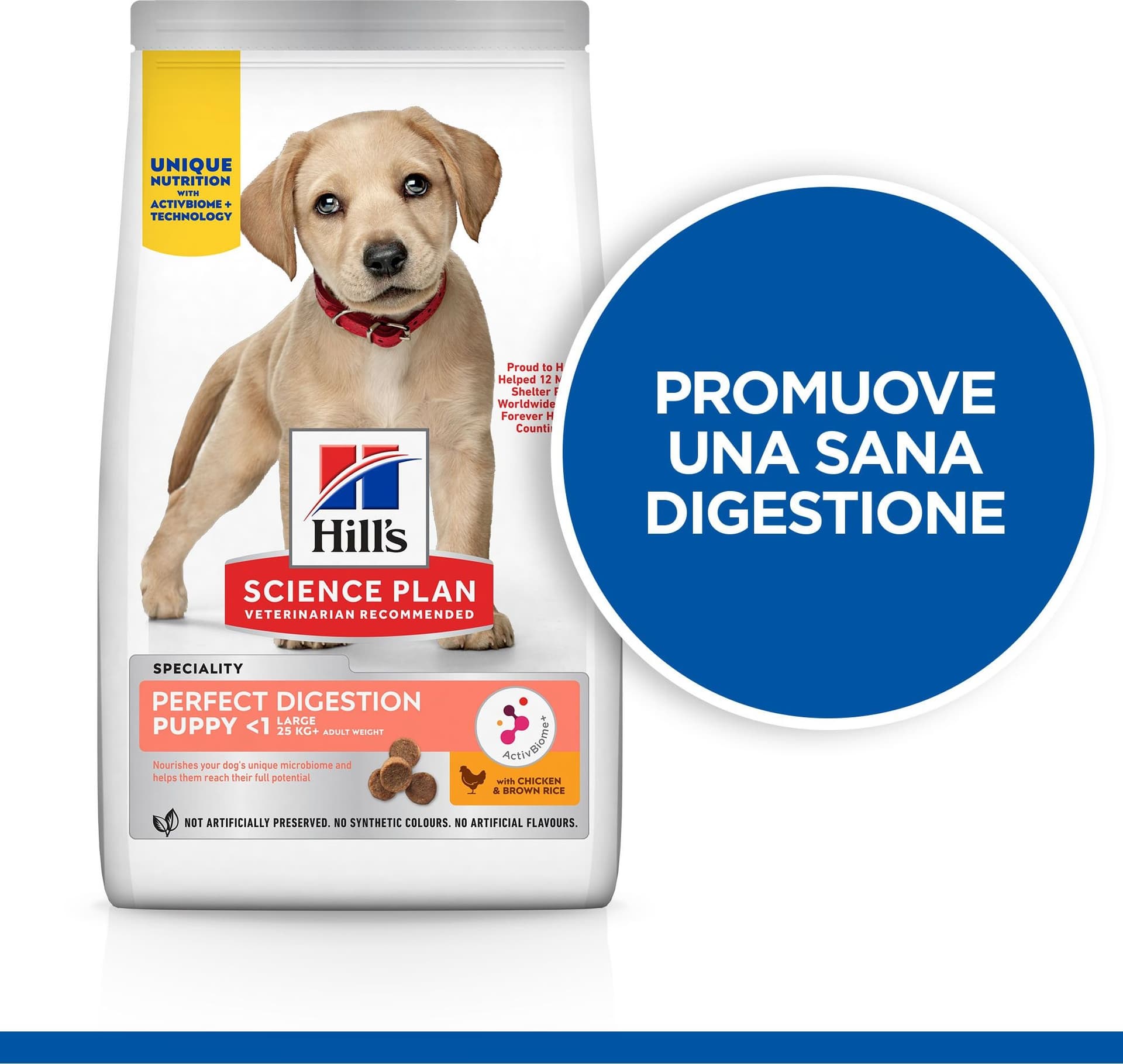 Hill's Perfect Digestion secco Cani Puppy Large pollo 12 kg in Secco 101 Market - Poggibonsi, commercioVirtuoso.it