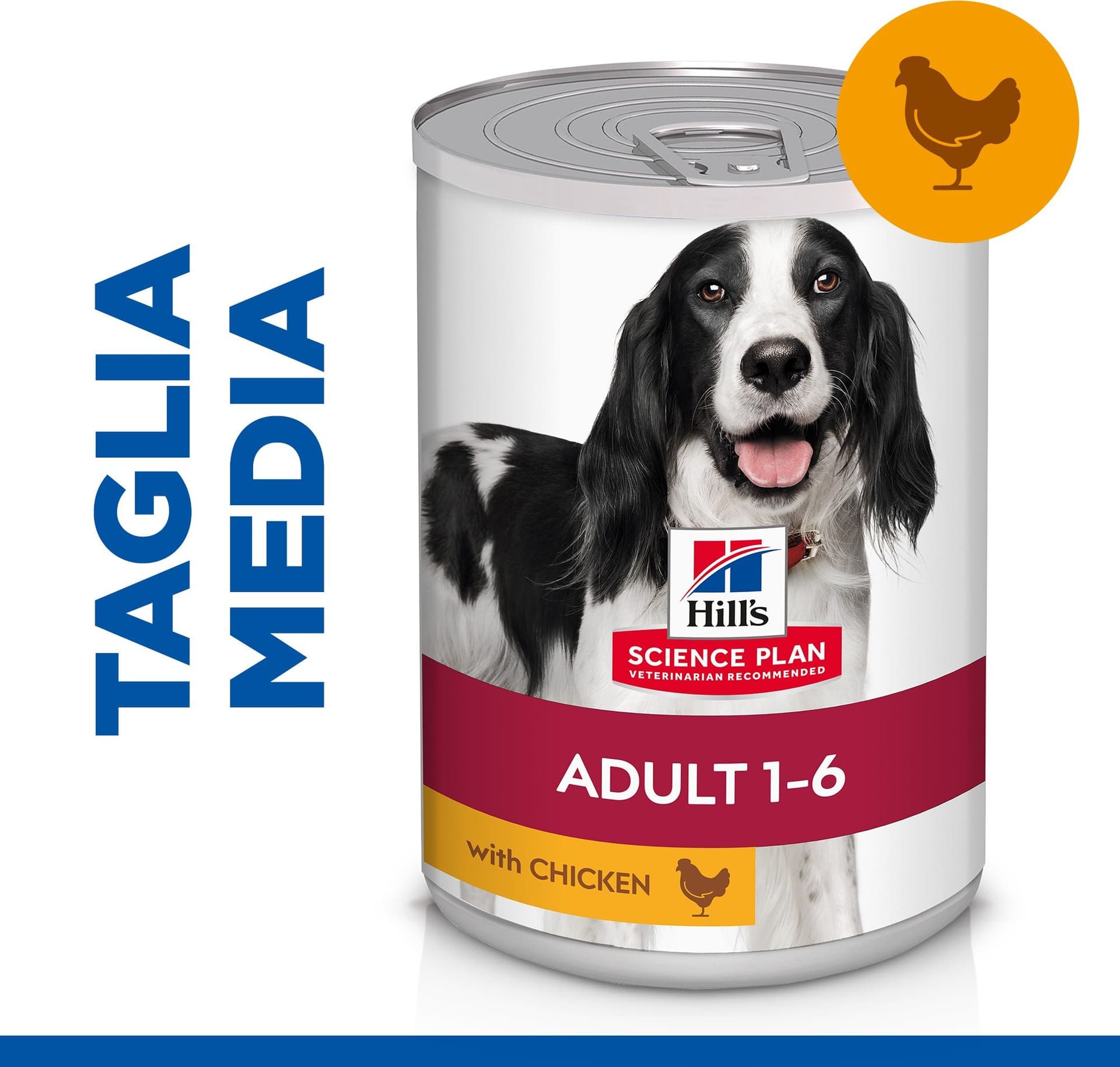 Hill's Mantenimento umido Cani Adulti pollo 370 gr in Secco 101 Market - Poggibonsi, commercioVirtuoso.it