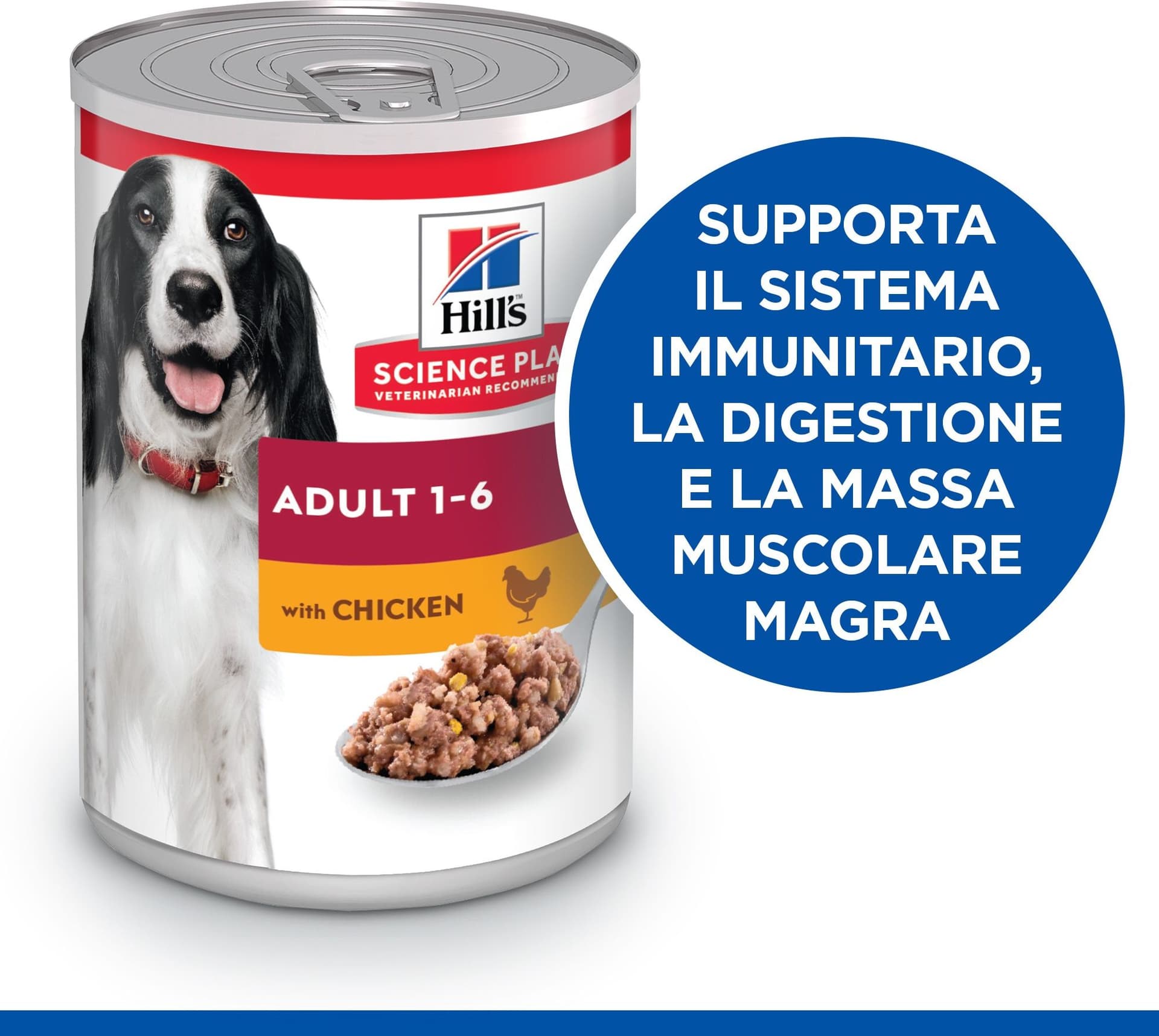 Hill's Mantenimento umido Cani Adulti pollo 370 gr in Secco 101 Market - Poggibonsi, commercioVirtuoso.it