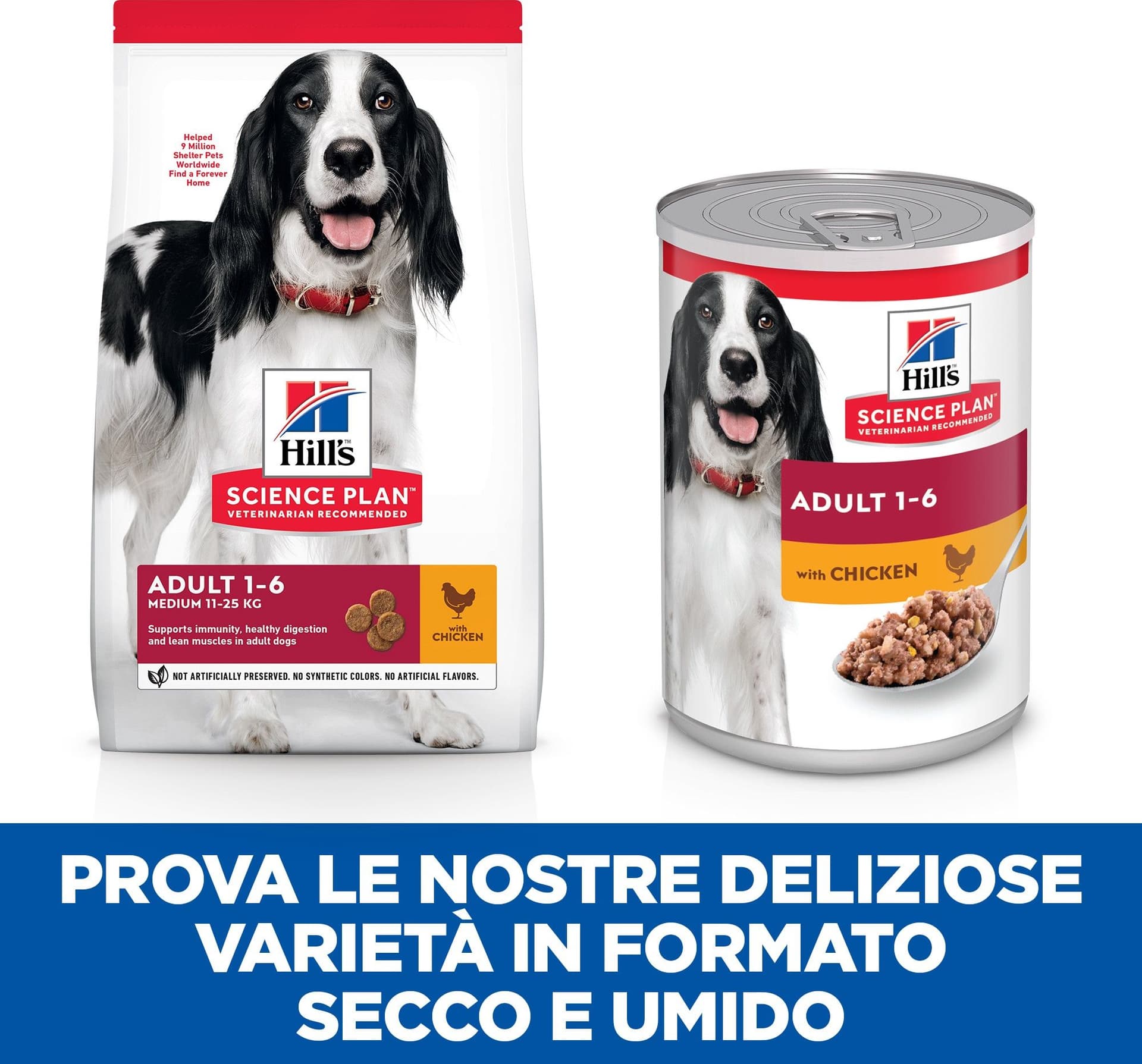 Hill's Mantenimento umido Cani Adulti pollo 370 gr in Secco 101 Market - Poggibonsi, commercioVirtuoso.it