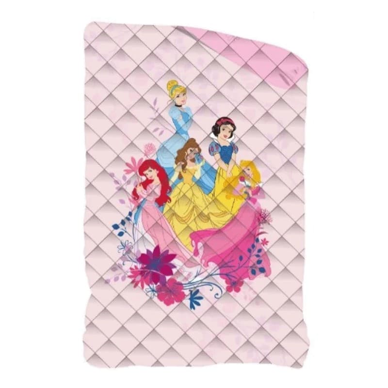 Trapunta Principesse Disney letto singolo in Trapunte e copriletti Collezione Casa - Trebisacce, commercioVirtuoso.it