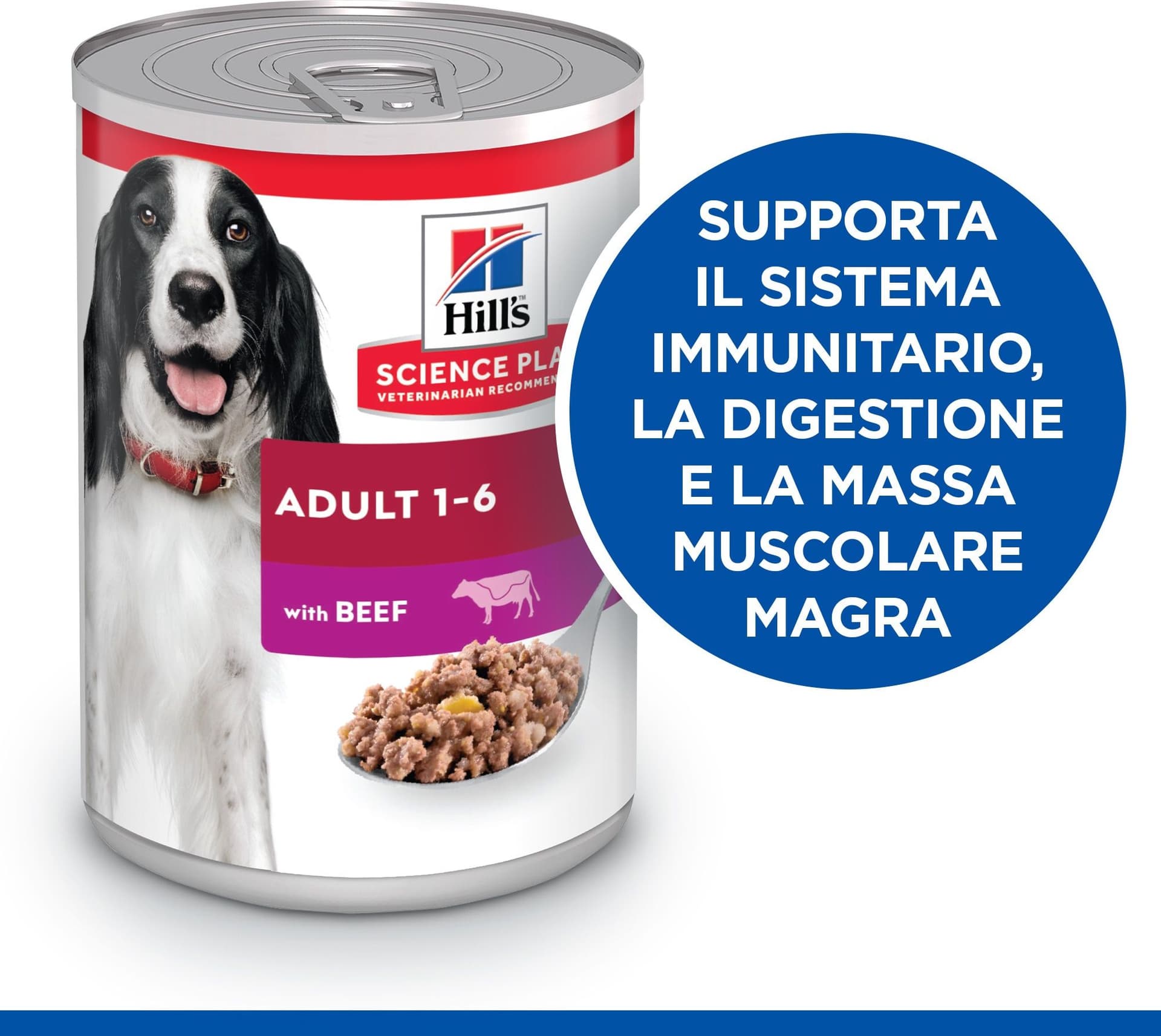 Hill's Mantenimento umido Cani Adulti manzo 370 gr in Secco 101 Market - Poggibonsi, commercioVirtuoso.it