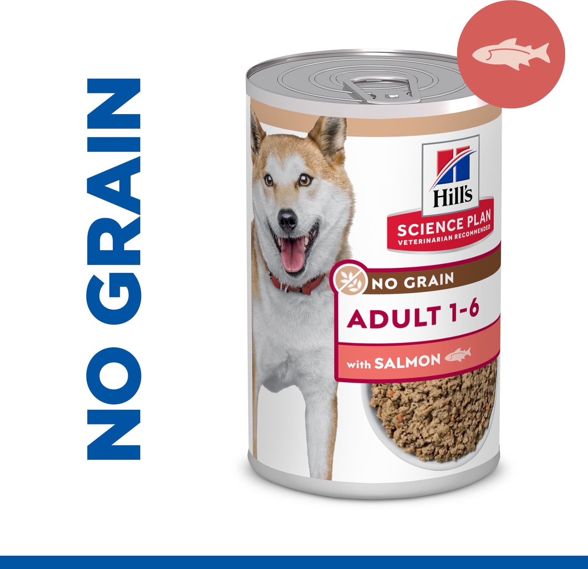 Hill's No Grain umido Cani Adulti salmone 363 gr in Secco 101 Market - Poggibonsi, commercioVirtuoso.it