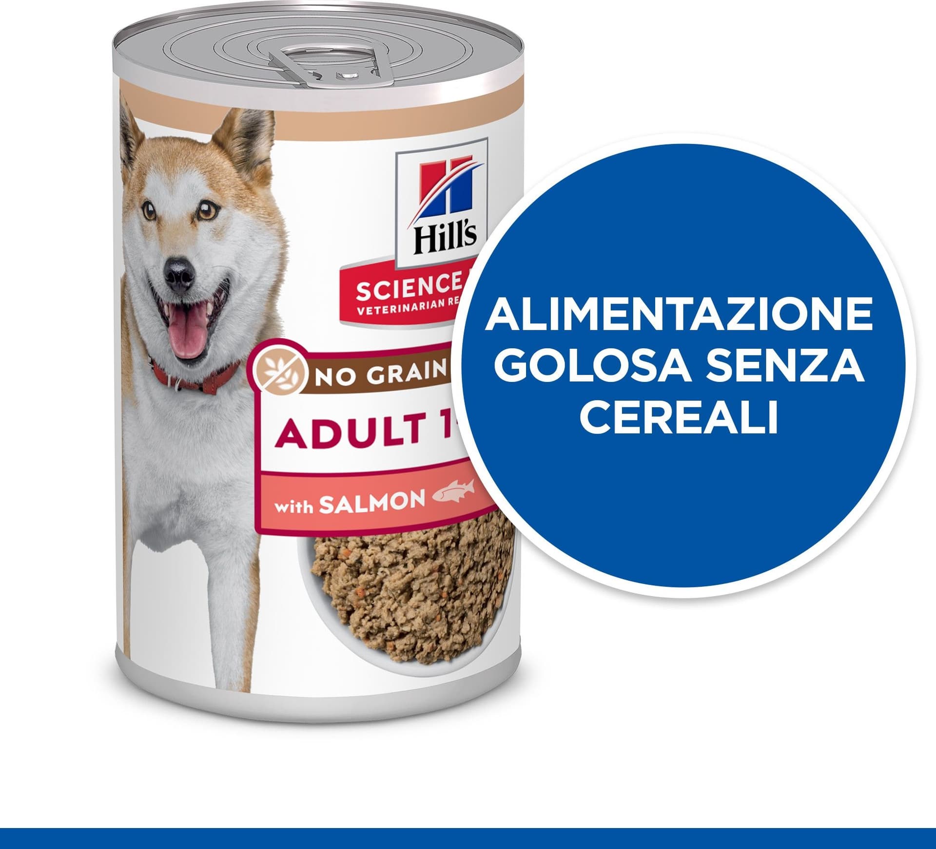Hill's No Grain umido Cani Adulti salmone 363 gr in Secco 101 Market - Poggibonsi, commercioVirtuoso.it