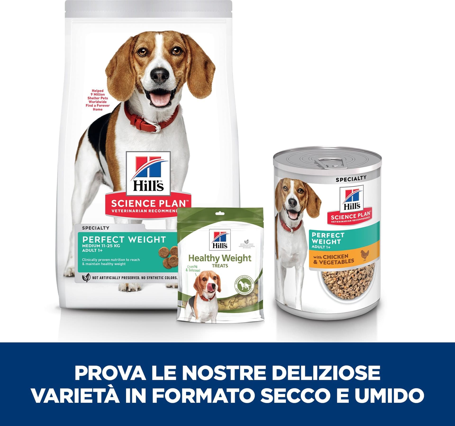 Hill's Perfect Weight umido Cani Adulti pollo e verdure 363 gr in Secco 101 Market - Poggibonsi, commercioVirtuoso.it