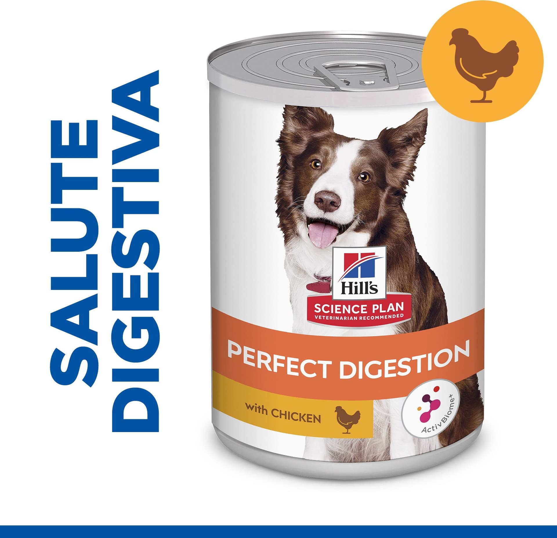 Hill's Perfect Digestion umido Cani Adulti pollo 363 gr in Secco 101 Market - Poggibonsi, commercioVirtuoso.it