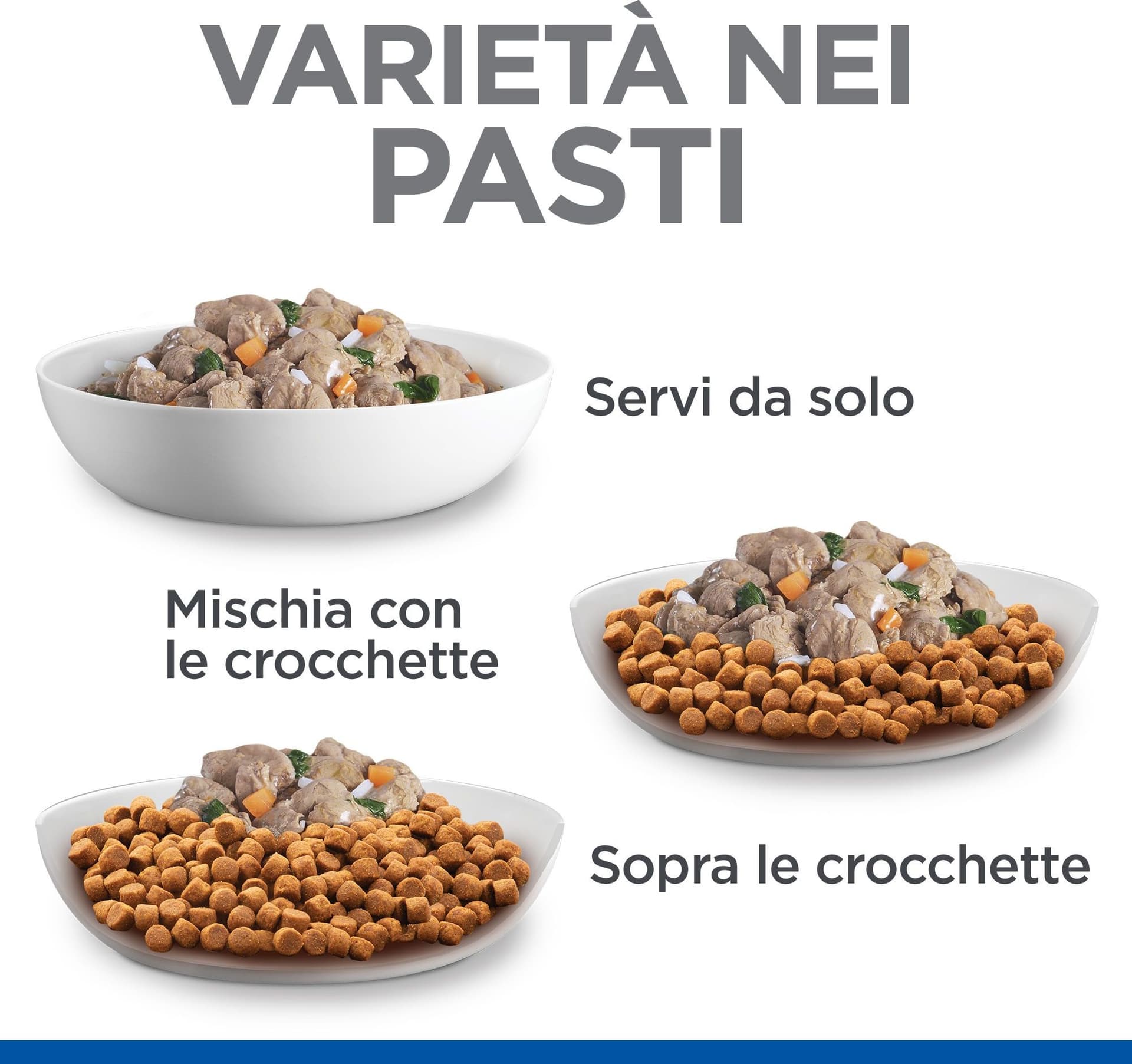 Hill's Healthy Cuisine umido Cani Puppy Mini pollo e verdure 80 gr in Umido 101 Market - Poggibonsi, commercioVirtuoso.it