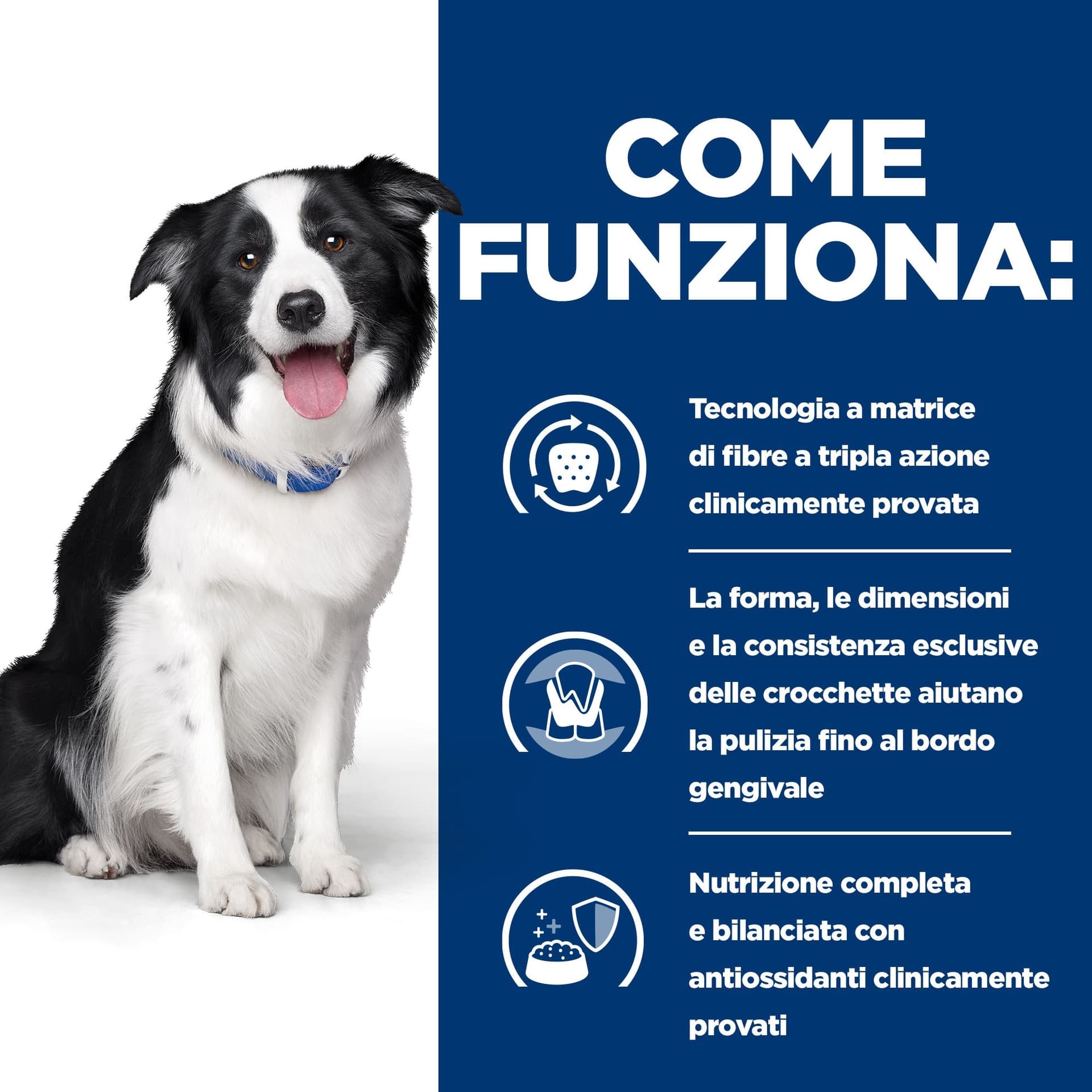 Hill's Prescription Diet Dental Care secco Cani Adulti pollo 4 kg in Secco 101 Market - Poggibonsi, commercioVirtuoso.it