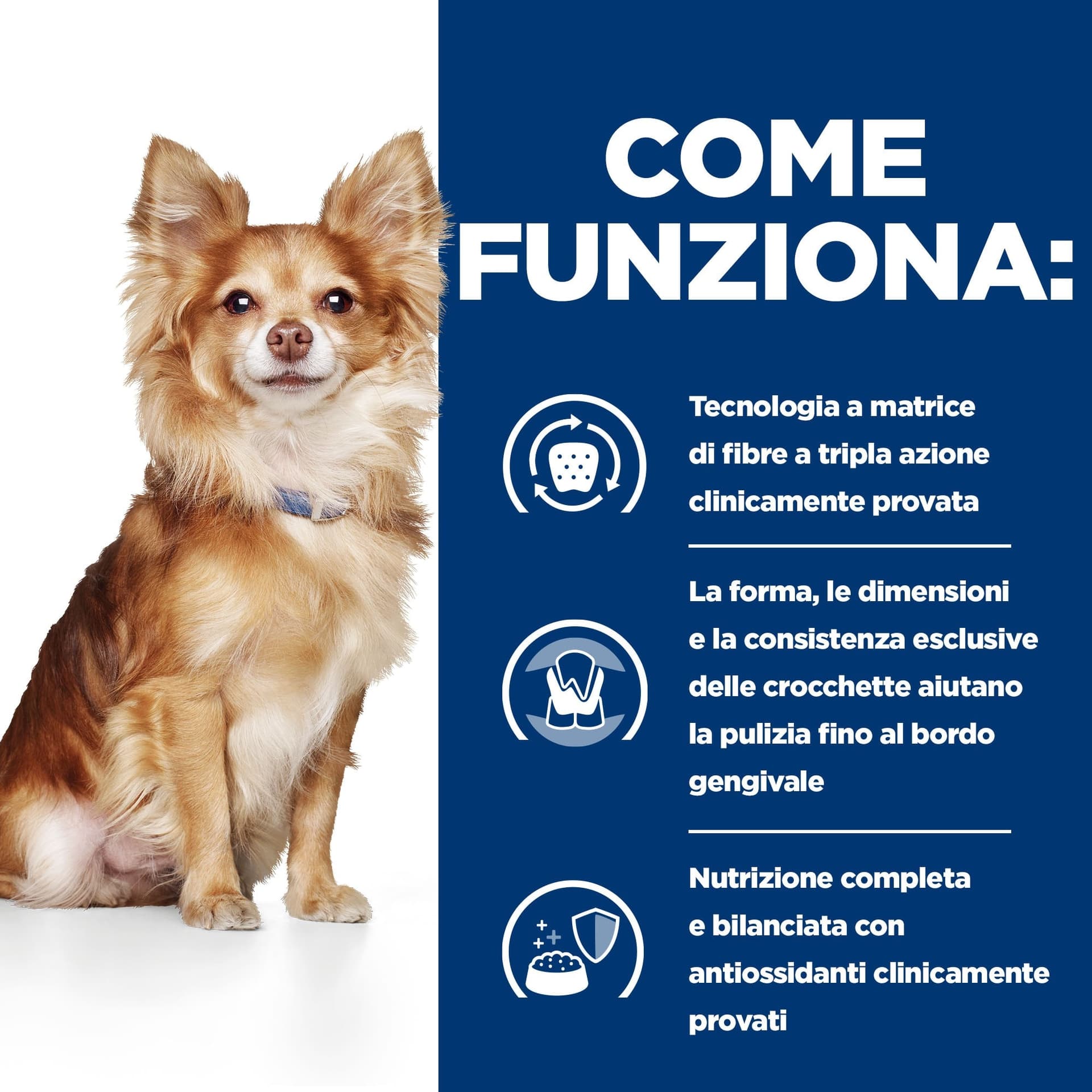 Hill's Prescription Diet Dental Care secco Cani Adulti Mini pollo 3 kg in Secco 101 Market - Poggibonsi, commercioVirtuoso.it