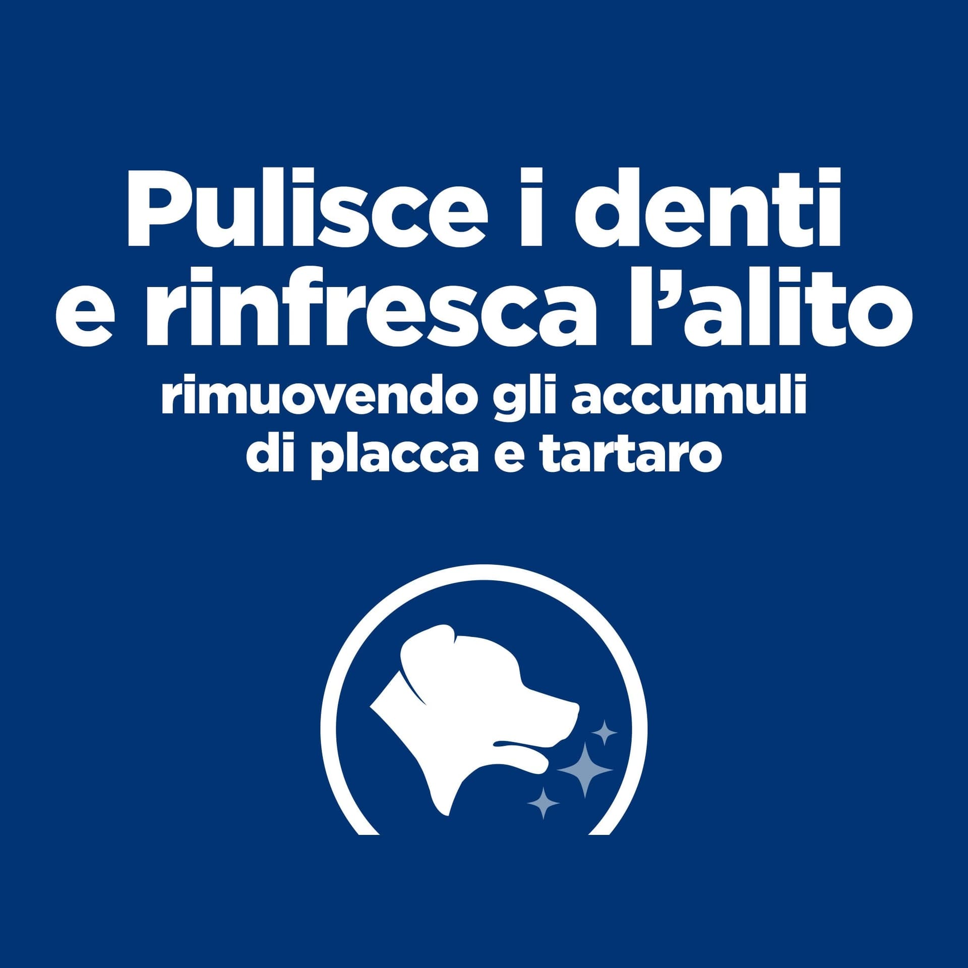 Hill's Prescription Diet Dental Care secco Cani Adulti Mini pollo 3 kg in Secco 101 Market - Poggibonsi, commercioVirtuoso.it
