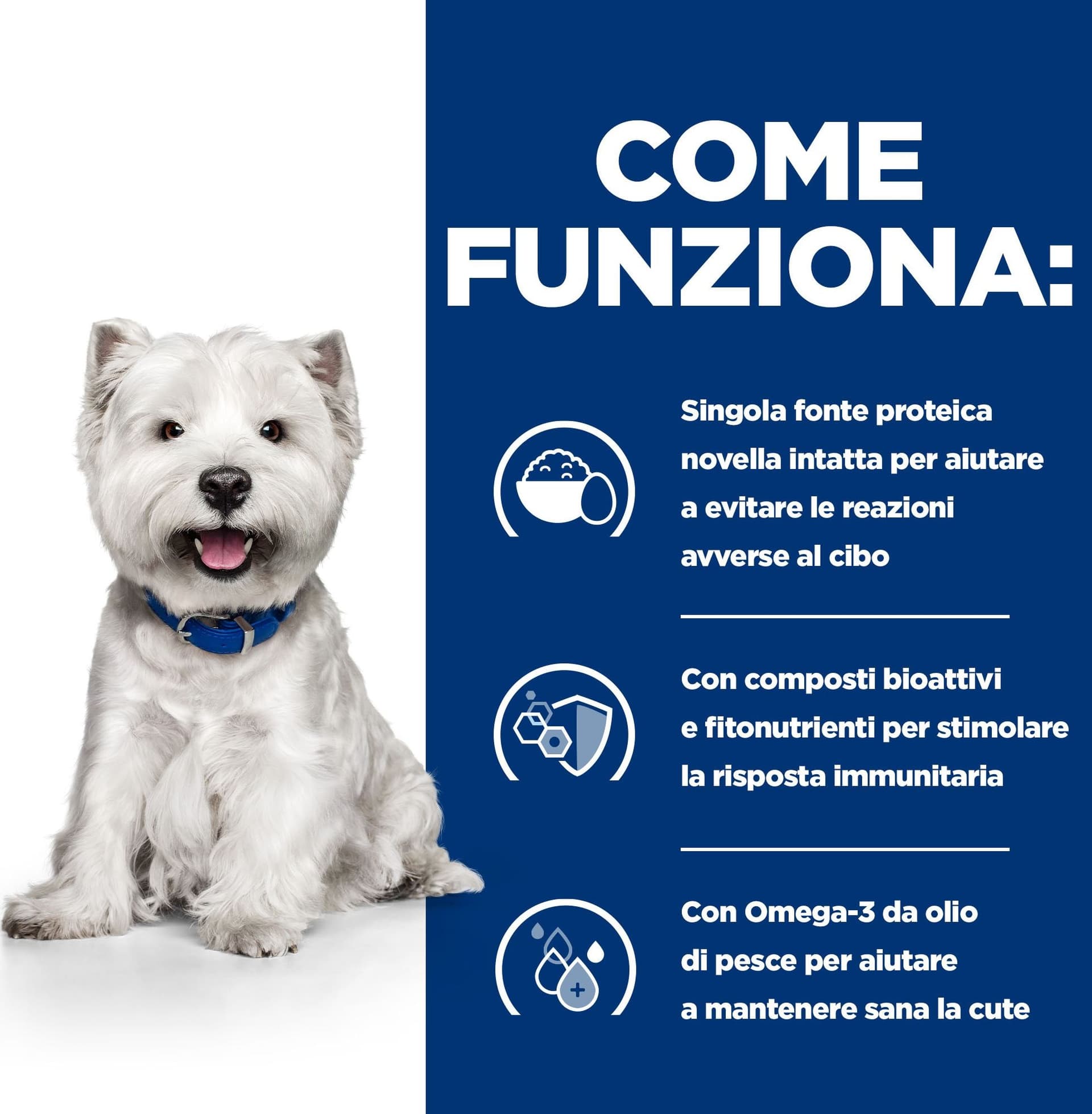 Hill's Prescription Diet Derm Complete secco Cani Adulti Mini 1 kg in Secco 101 Market - Poggibonsi, commercioVirtuoso.it