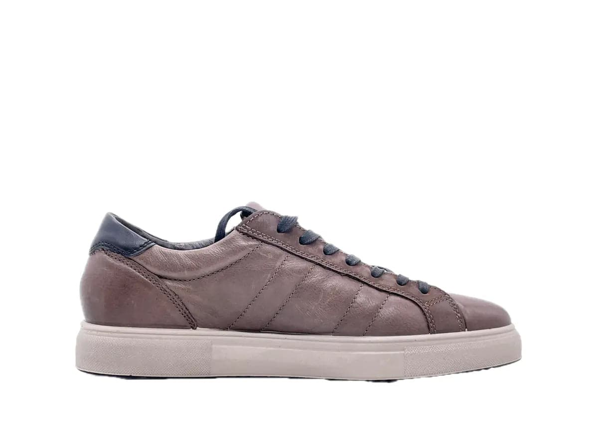 IGI&amp;CO Sneaker Uomo Vitello Antracite in Sneaker casual Calzature Durello - Agna, commercioVirtuoso.it
