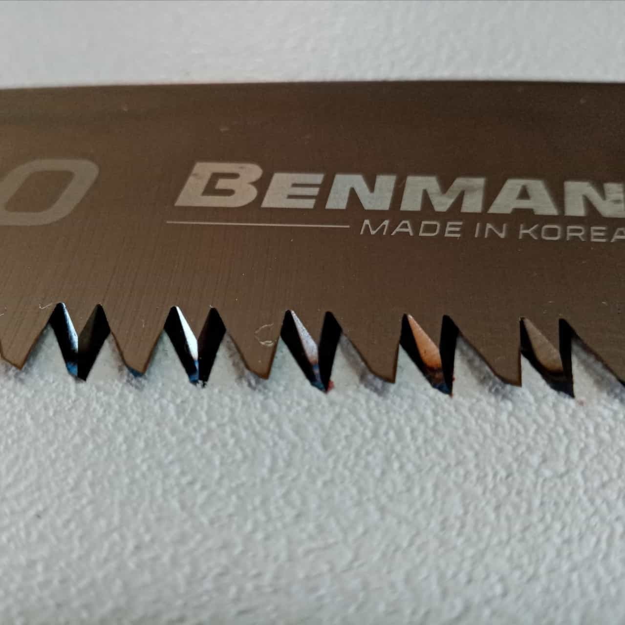 BenMan lama di ricambio dritta da 250mm per svettatoio segaccio modello MX1-250 in Seghe per potatura Aloiserw.com - Altomonte, commercioVirtuoso.it