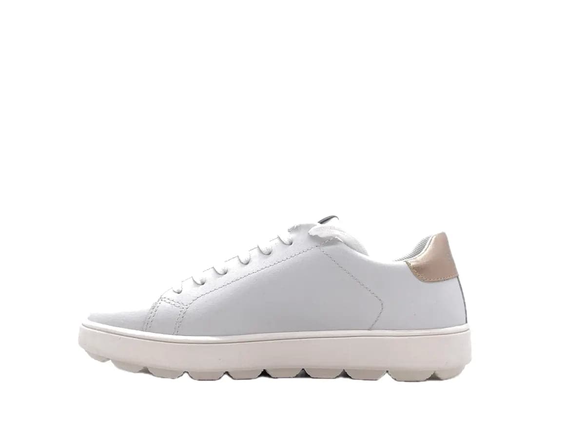 GEOX Sneaker Donna Spherica White Gold in Sneaker casual Calzature Durello - Agna, commercioVirtuoso.it