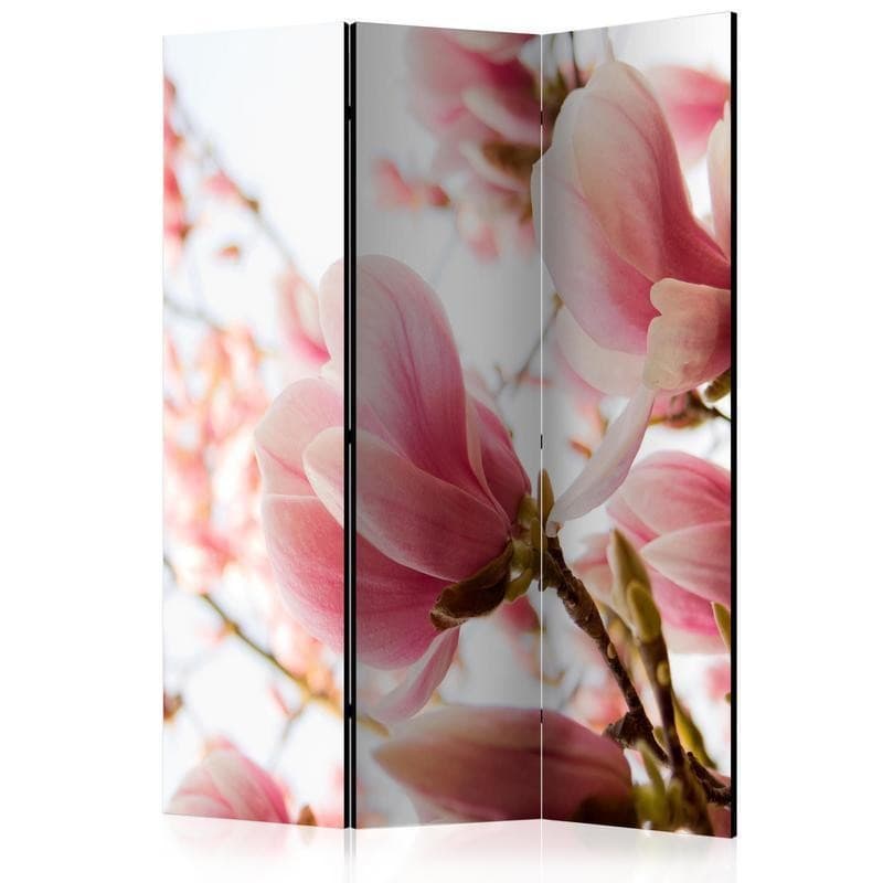 Paravento Pink magnolia [Room Dividers] in Paraventi Collezione Casa - Trebisacce, commercioVirtuoso.it