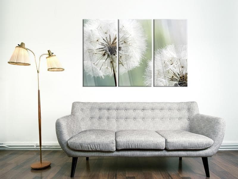 Quadri su vetro acrilico Fluffy Dandelions [Glass] in Poster e stampe Collezione Casa - Trebisacce, commercioVirtuoso.it