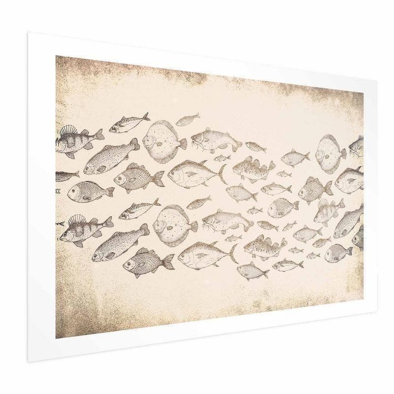 Poster - Subtle Little Fish in Poster e stampe Collezione Casa - Trebisacce, commercioVirtuoso.it