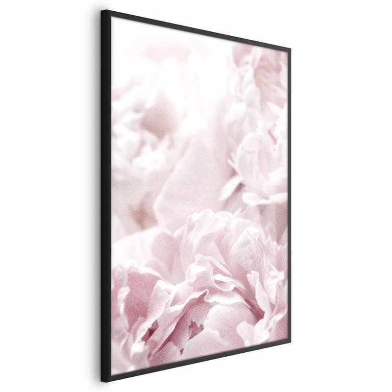 Poster - Fluffy Peonies in Poster e stampe Collezione Casa - Trebisacce, commercioVirtuoso.it