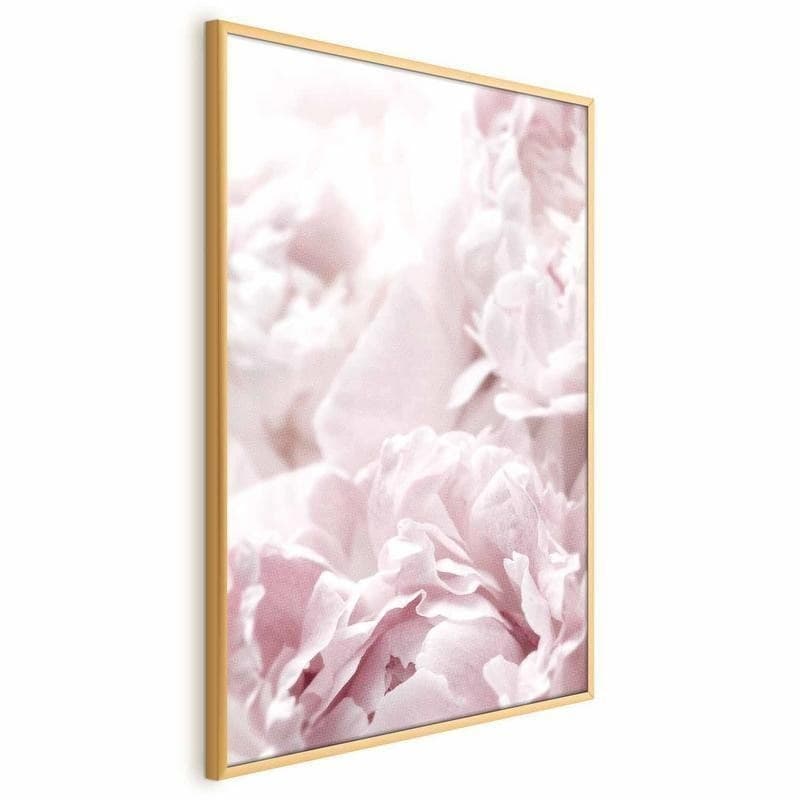 Poster - Fluffy Peonies in Poster e stampe Collezione Casa - Trebisacce, commercioVirtuoso.it