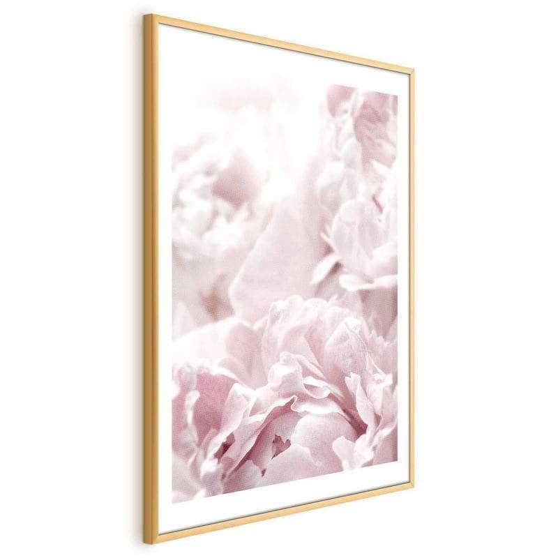 Poster - Fluffy Peonies in Poster e stampe Collezione Casa - Trebisacce, commercioVirtuoso.it