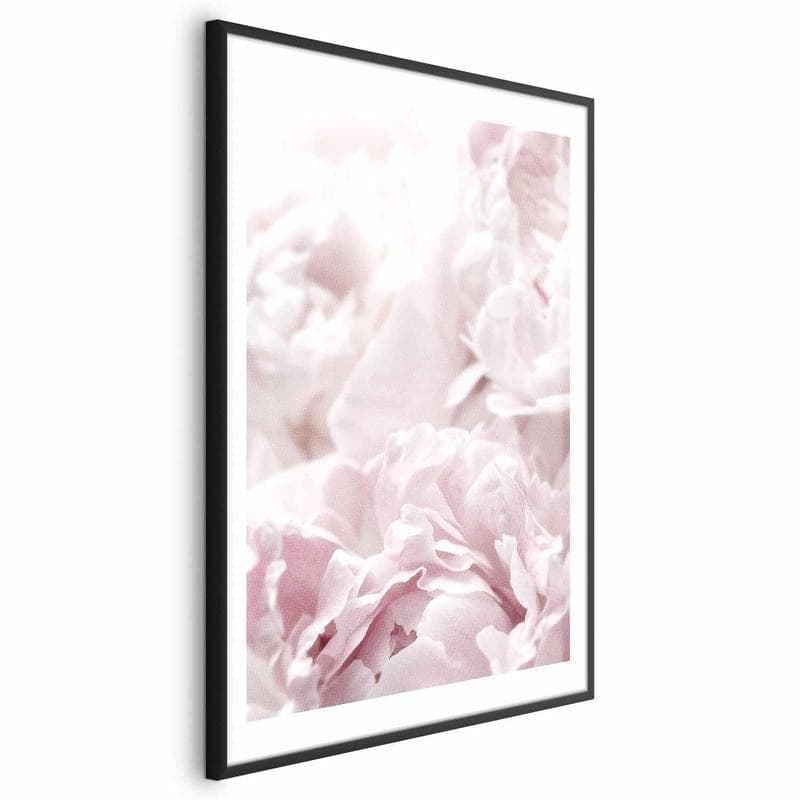 Poster - Fluffy Peonies in Poster e stampe Collezione Casa - Trebisacce, commercioVirtuoso.it