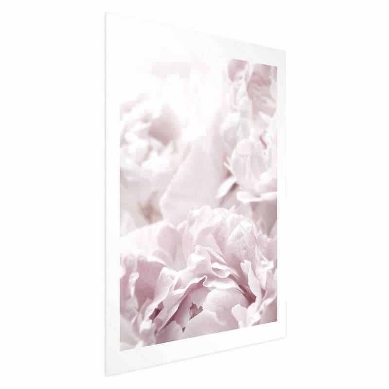 Poster - Fluffy Peonies in Poster e stampe Collezione Casa - Trebisacce, commercioVirtuoso.it